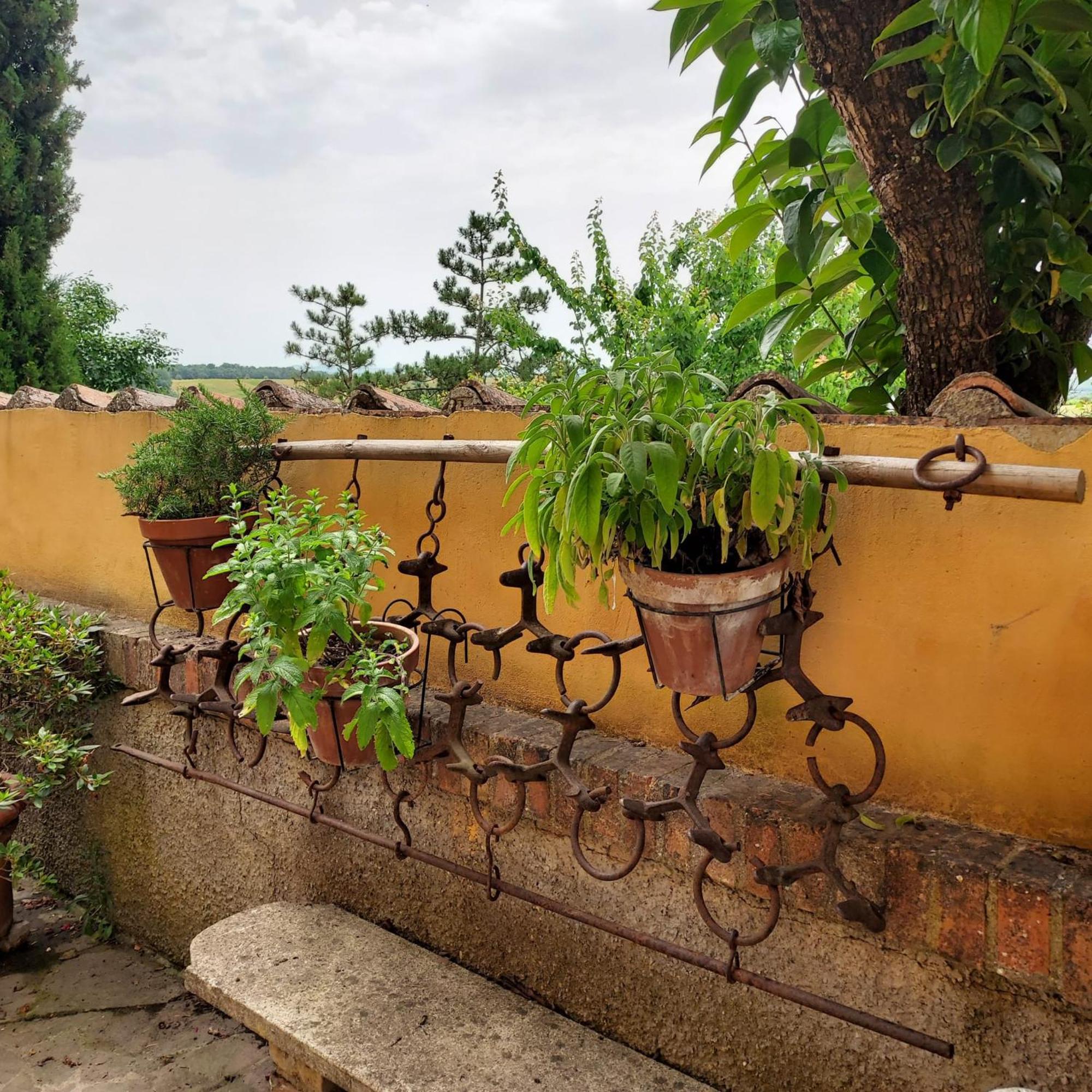 Agriturismo Il Colle Сієна Екстер'єр фото