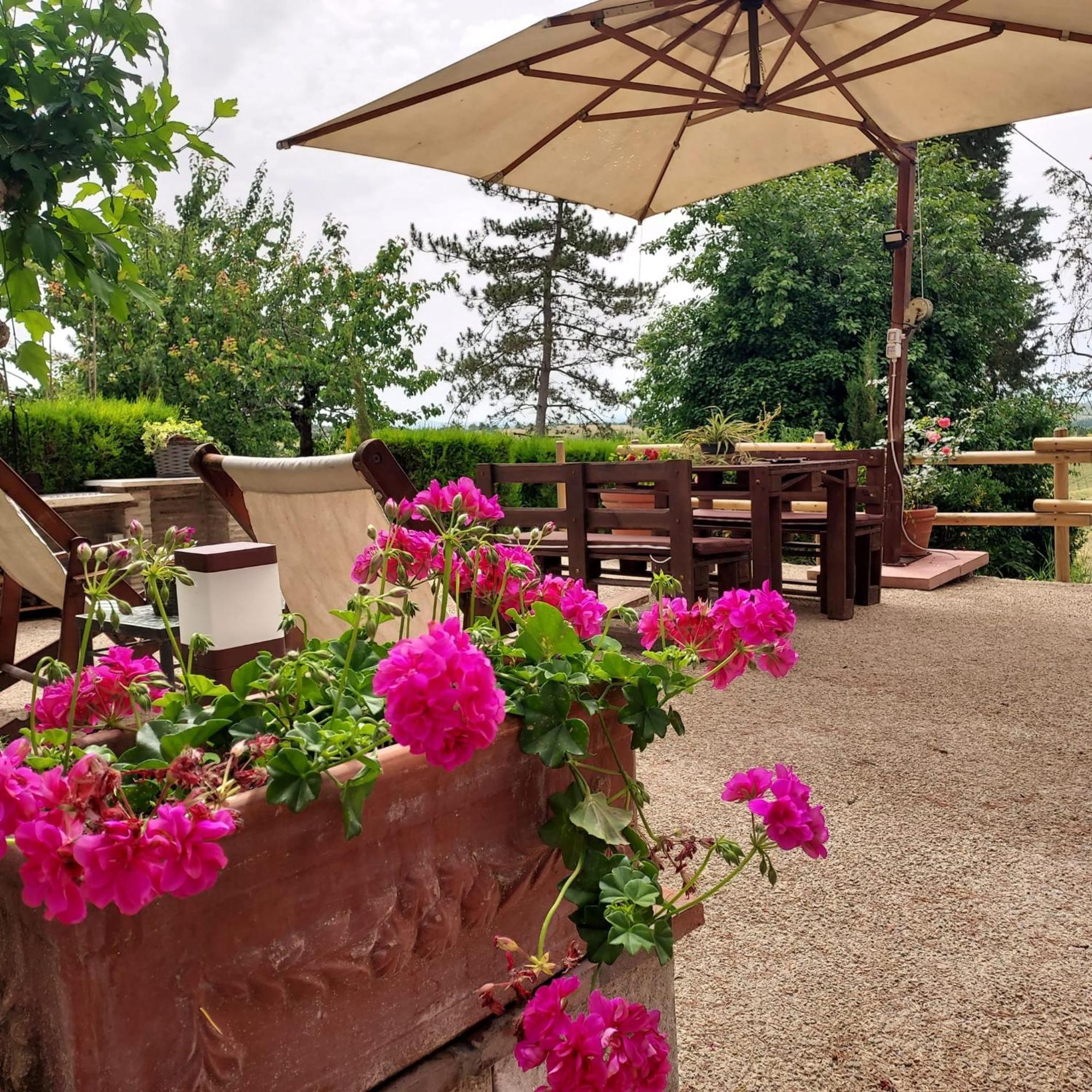 Agriturismo Il Colle Сієна Екстер'єр фото