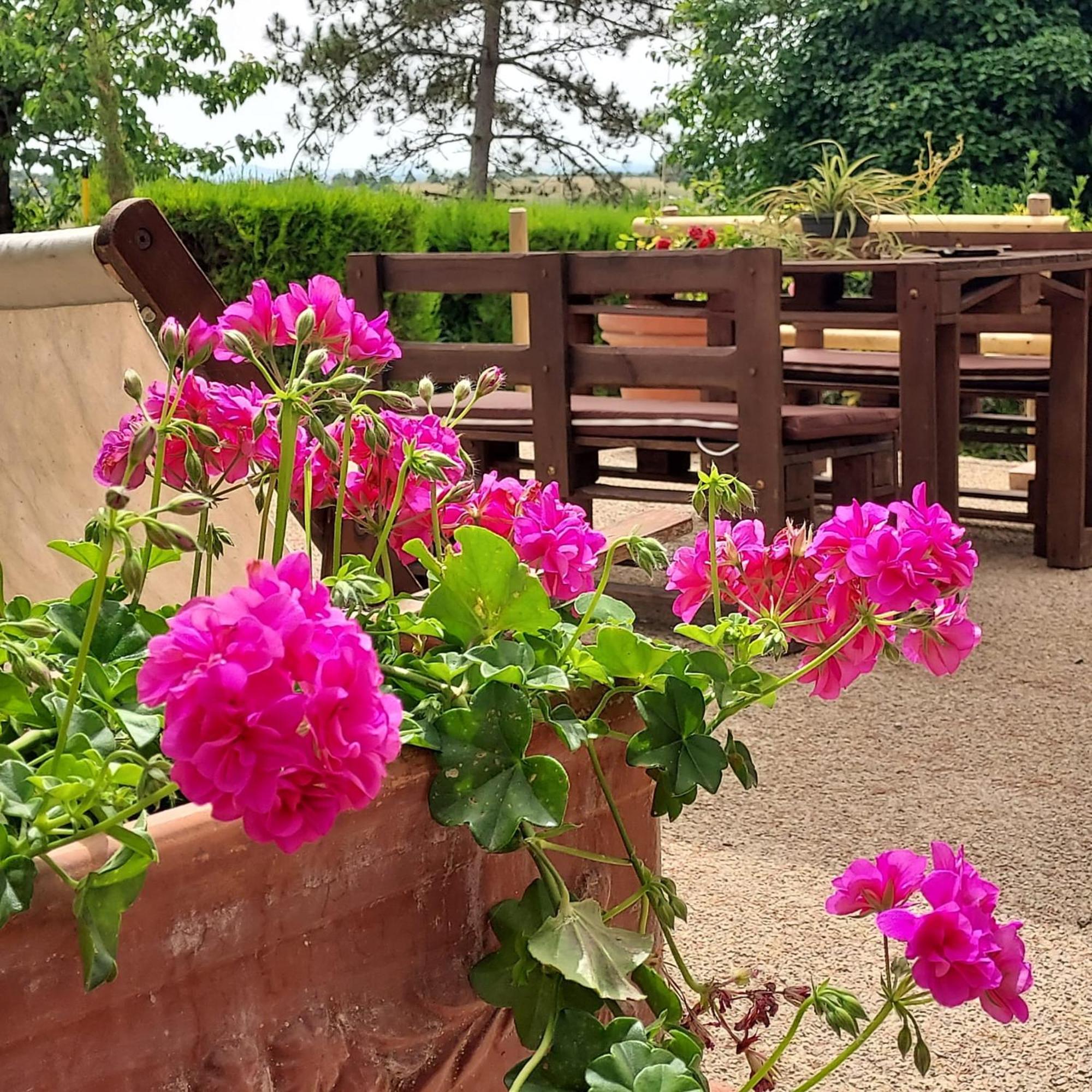 Agriturismo Il Colle Сієна Екстер'єр фото