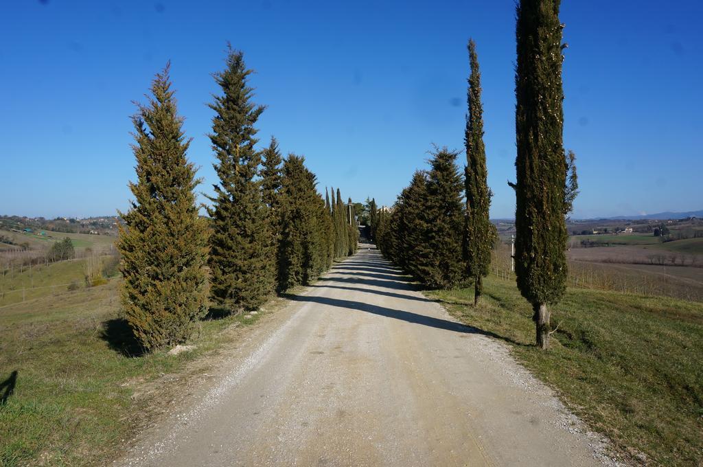 Agriturismo Il Colle Сієна Екстер'єр фото