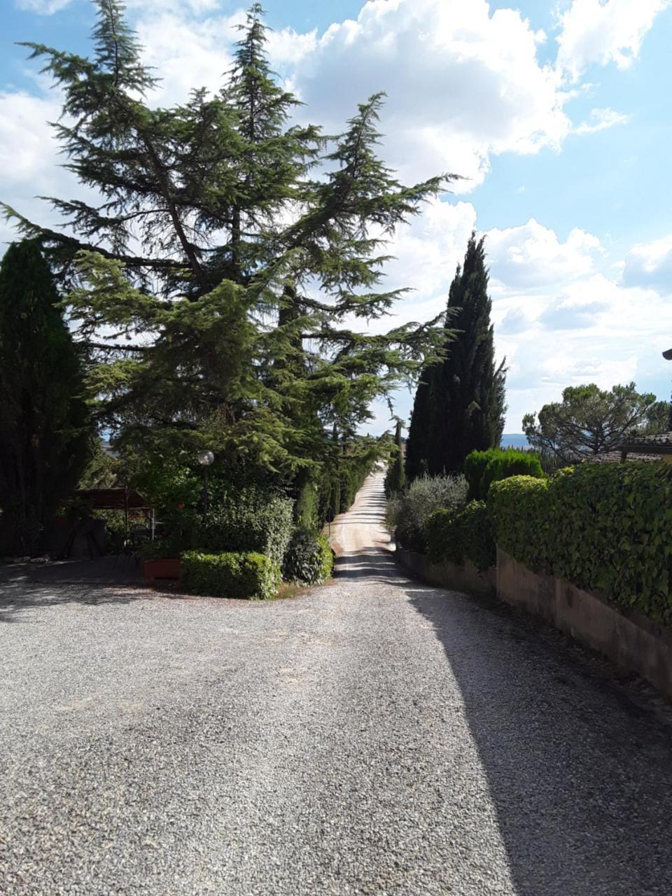 Agriturismo Il Colle Сієна Екстер'єр фото